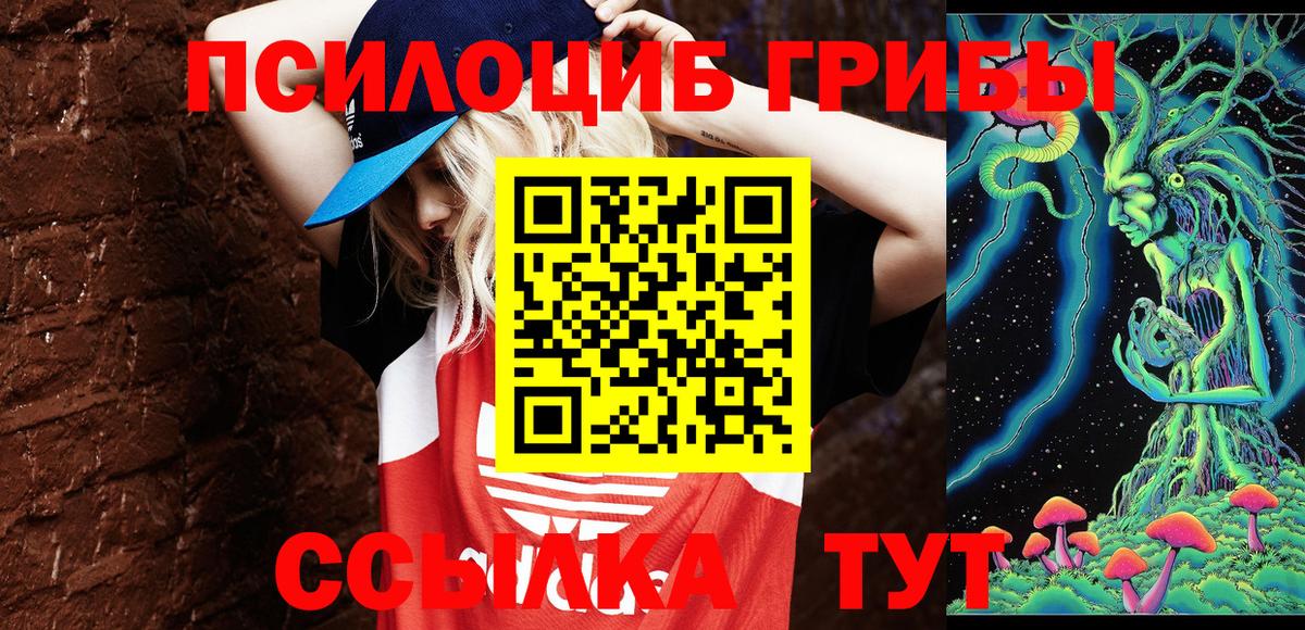 Псилоцибиновые грибы Magic Shrooms  Вход с VPN  Нарткала  Псилоцибиновые грибы Psilocybe 